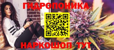 скорость Пугачёв