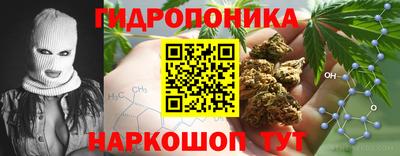 скорость Пугачёв