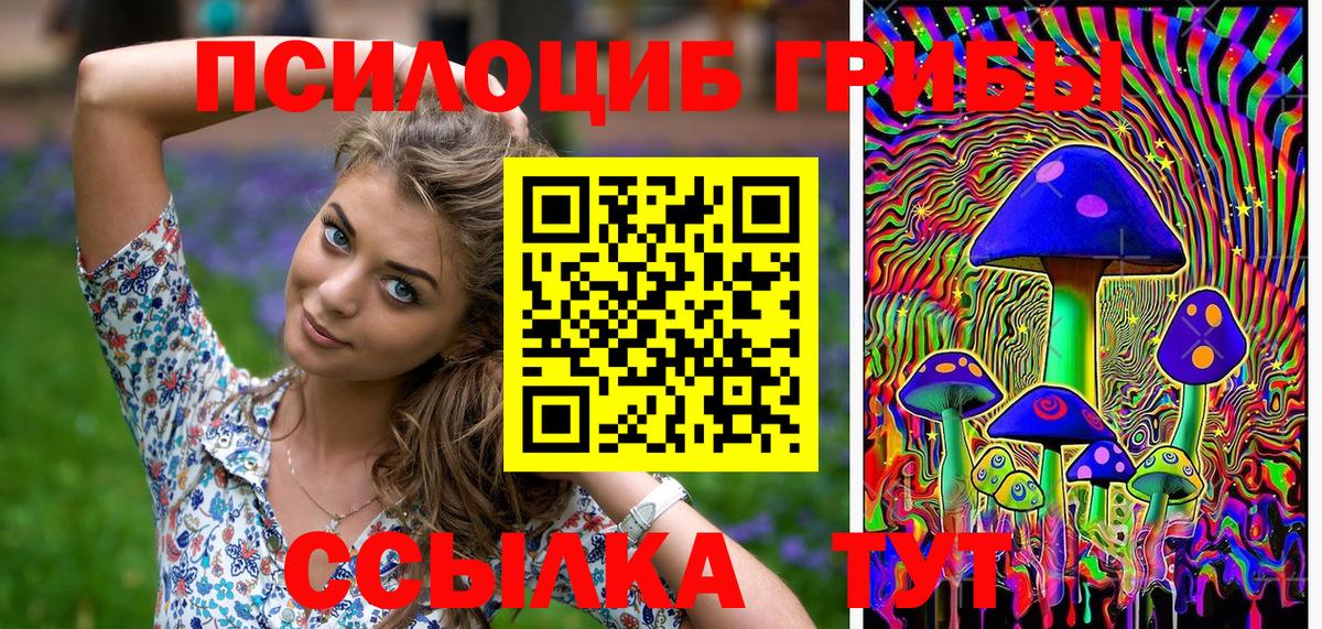 Галлюциногенные грибы Psilocybe  Вход с VPN  Топки 
